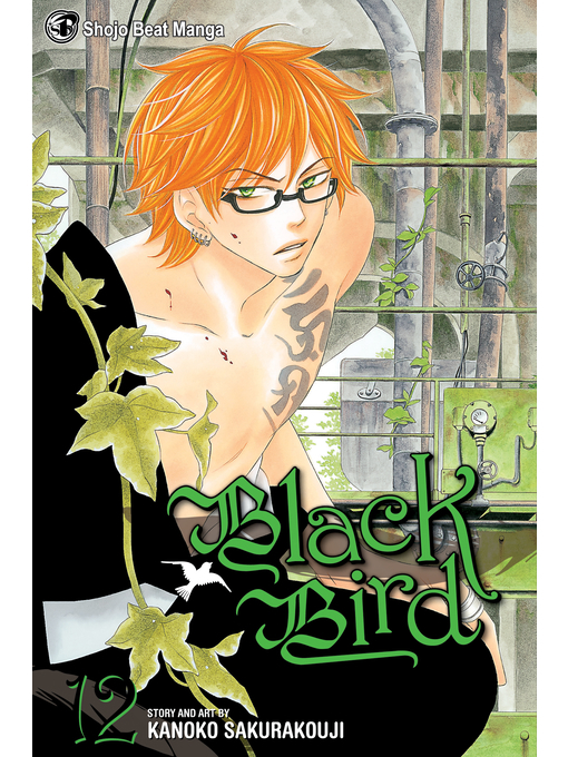 Title details for Black Bird, Volume 12 by Kanoko Sakurakouji - Available